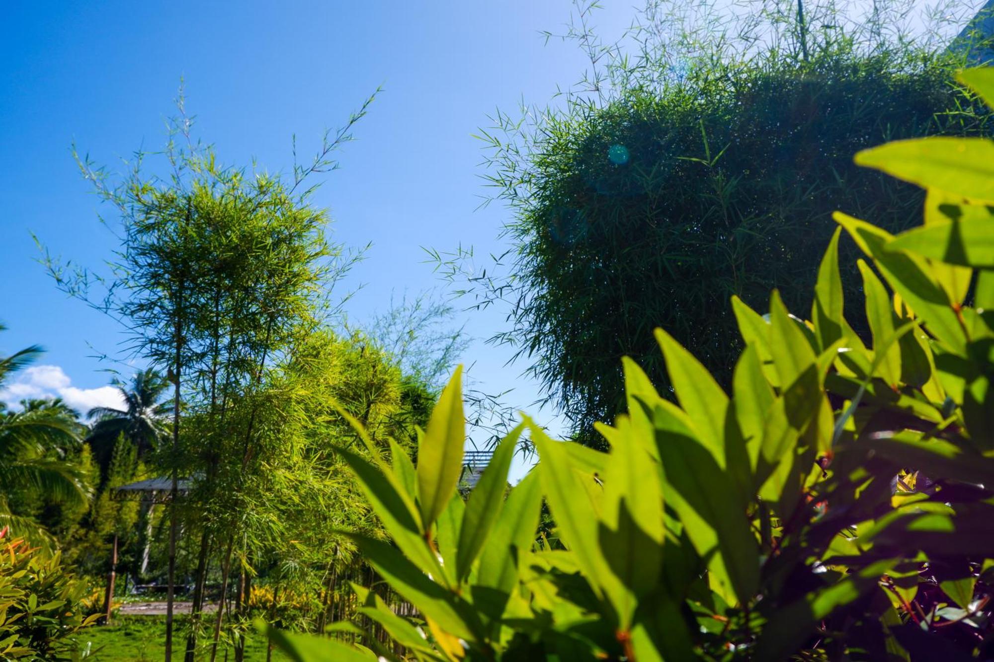 Casi Verde Guest House 팡라오 외부 사진